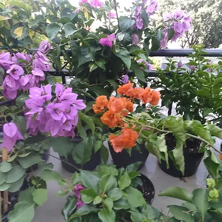 Apartamento Apartman Bella Vista Rijeka