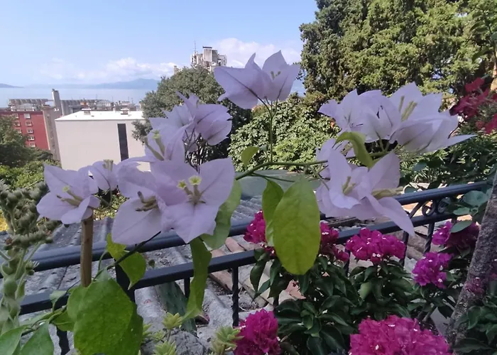 Apartman Bella Vista